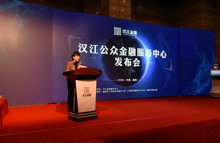 襄陽漢江金融服務(wù)中心上線 創(chuàng)新服務(wù)助力企業(yè)融資發(fā)展